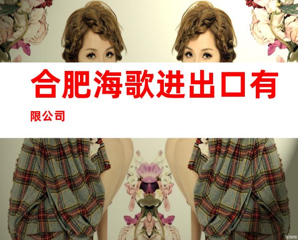 合肥海歌进出口有限公司