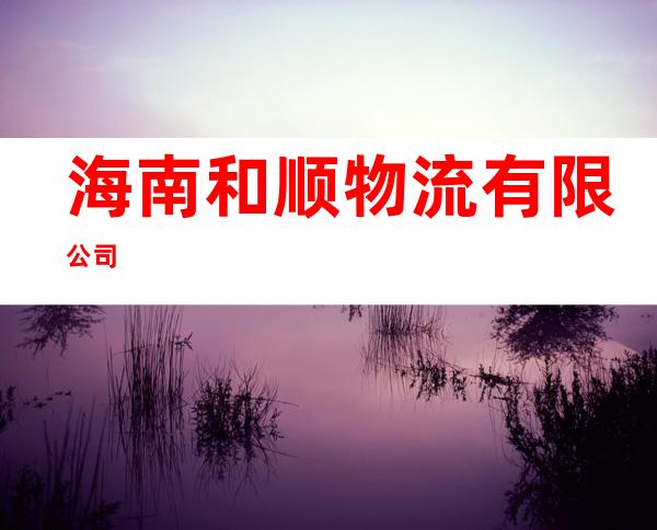 海南和顺物流有限公司